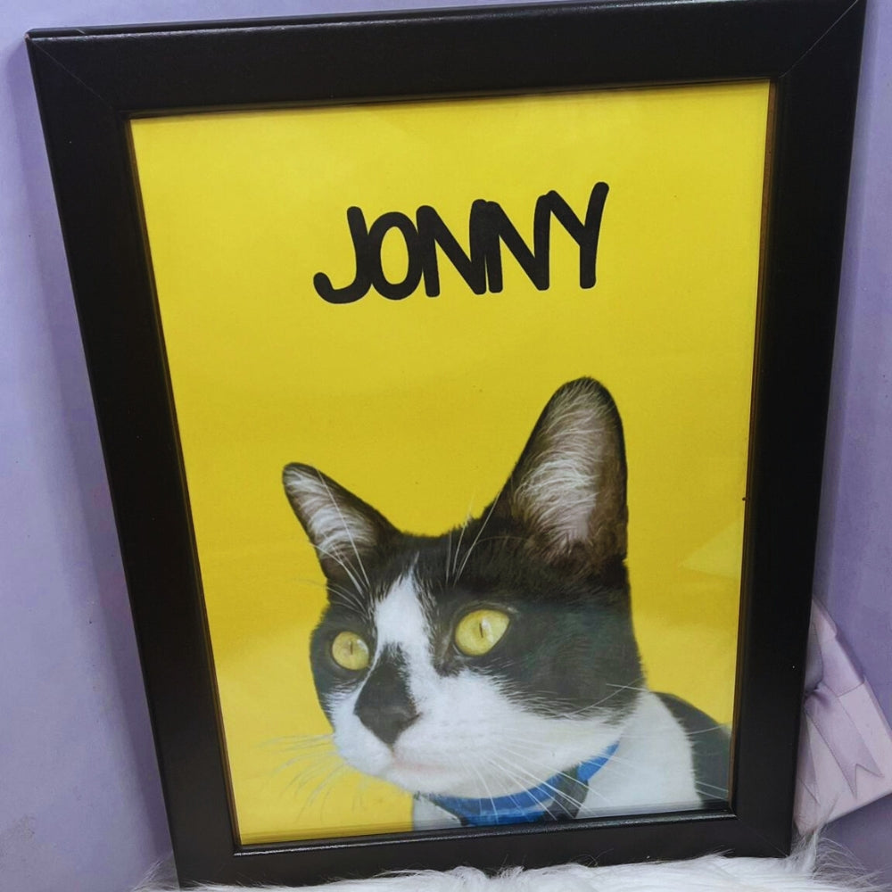 Cuadros personalizados para mascotas